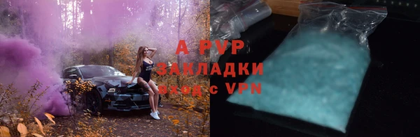 2c-b Новозыбков