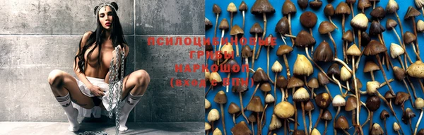 винт Новодвинск