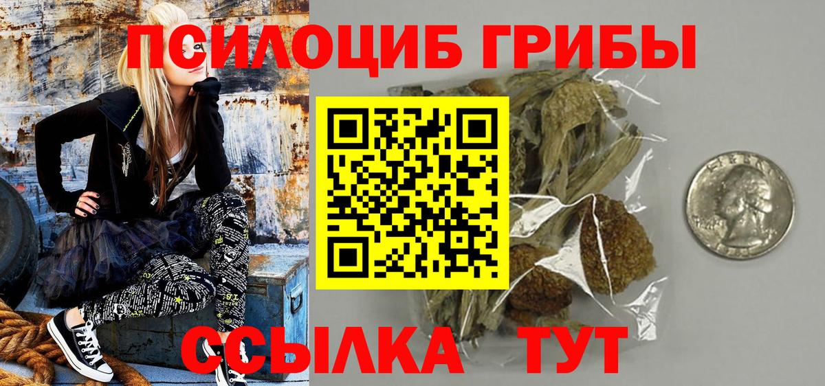 Галлюциногенные грибы прущие грибы Заводоуковск