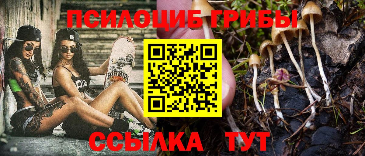 Галлюциногенные грибы Magic Shrooms Заводоуковск