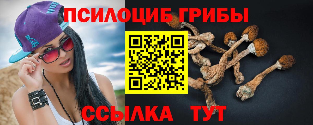 Галлюциногенные грибы ЛСД  Галлюциногенные грибы Cubensis  Вход с VPN  Заводоуковск 